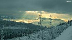 Zima, Winter 205 Snieg, Drzewa, Niebo, Chmury