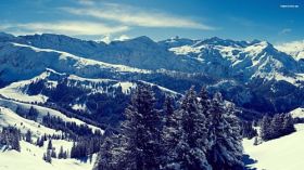 Zima, Winter 206 Gory, Pejzaz, Choinki, Snieg