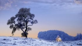 Zima, Winter 209 Drzewo, Dom, Snieg