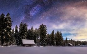 Zima, Winter 220 Noc, Gwiazdy, Snieg, Drzewa