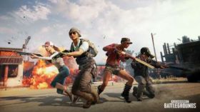 Playerunknown's Battlegrounds (PUBG) 073
