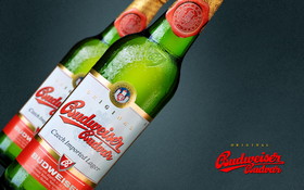 Piwo Budweiser 1920x1200 004