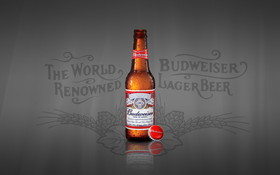 Piwo Budweiser 1920x1200 005