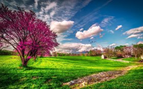 Wiosna 253 Drzewa, Budynki, Trawa, Niebo, Chmury, Ptaki