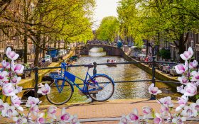 Wiosna 279 Most, Rower, Rzeka, Amsterdam, Holandia, Kwiaty, Budynki