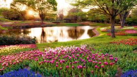 Wiosna 303 Park, Jezioro, Kwiaty, Drzewa, Altana
