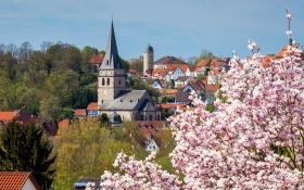 Wiosna 328 Niemcy, Warburg, Kosciol, Budynki, Kwiaty Wisni