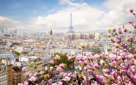 Wiosna 329 Paryz, Wieza Eiffla, Miasto, Drzewa, Kwiaty