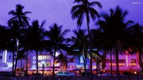 Lato 435 Miami, Hotel, Noc, Palmy