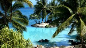 Lato 565 Tahiti, Wyspa, Ocean, Palmy