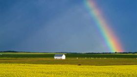 Rainbows and Lightnings 1920x1080 007