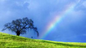 Rainbows and Lightnings 1920x1080 016