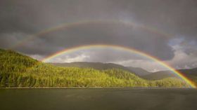 Rainbows and Lightnings 1920x1080 027