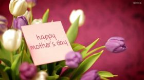 Dzien Matki 038 Kwiaty, Tulipany, Happy Mothers Day