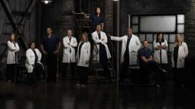 Chirurdzy, Greys Anatomy 045