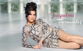 Jacqueline Fernandez 011