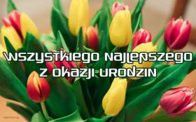 Urodziny, Happy Birthday 104 Tulipany, Kartka, Zyczenia, Wszystkiego najlepszego z okazji urodzin