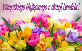 Urodziny, Happy Birthday 122 Piekne Kolorowe Kwiaty, Zyczenia Urodzinowe, Wszystkiego najlepszego ...