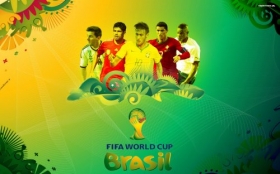 Fifa World Cup Brazil 2014 032