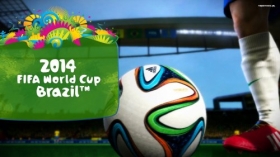 Fifa World Cup Brazil 2014 033