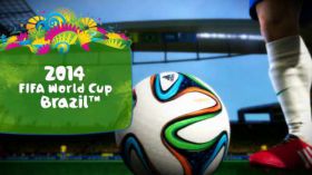 Fifa World Cup Brazil 2014 033