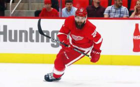 Hokej, NHL 013 Luke Witkowski, Detroit Red Wings