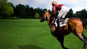 Wyścigi konne i jeździectwo
