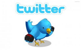 Twitter 005 Social Media, Bird