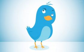 Twitter 040 Social Media, Bird