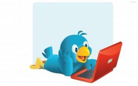 Twitter 041 Social Media, Laptop, Bird